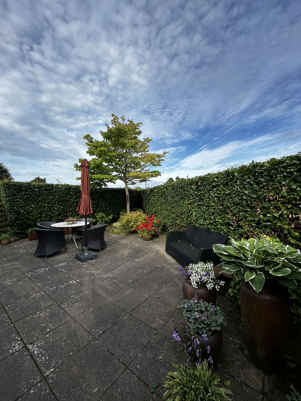 Terrasse · sensommer